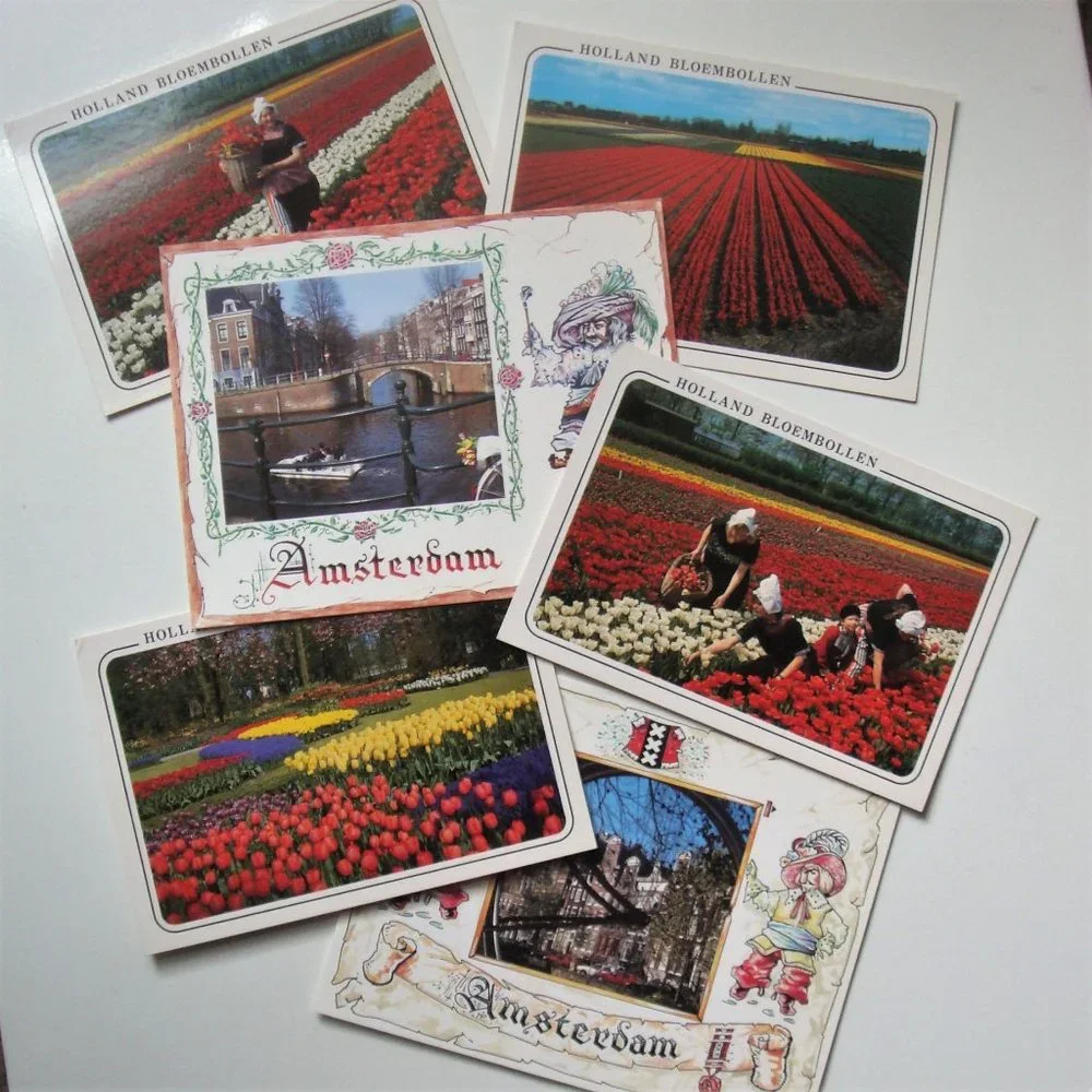 Vintage Set of 6 Dutch Tulips Souvenir Postcards